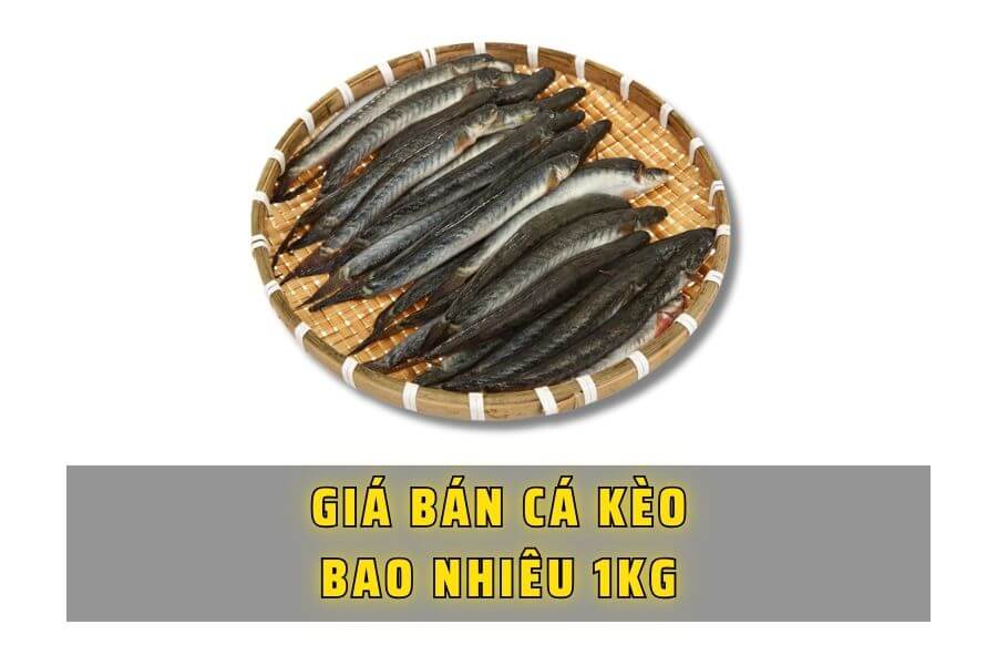 Gia-ban-ca-keo-bao-nhieu-1kg